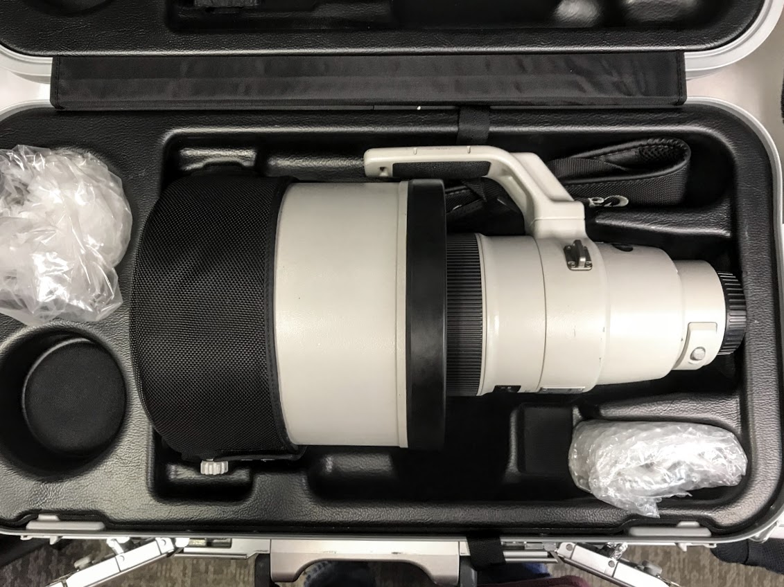 Review: The Canon EF 400mm f/2.8L IS II USM | Matt Cuda Nature 